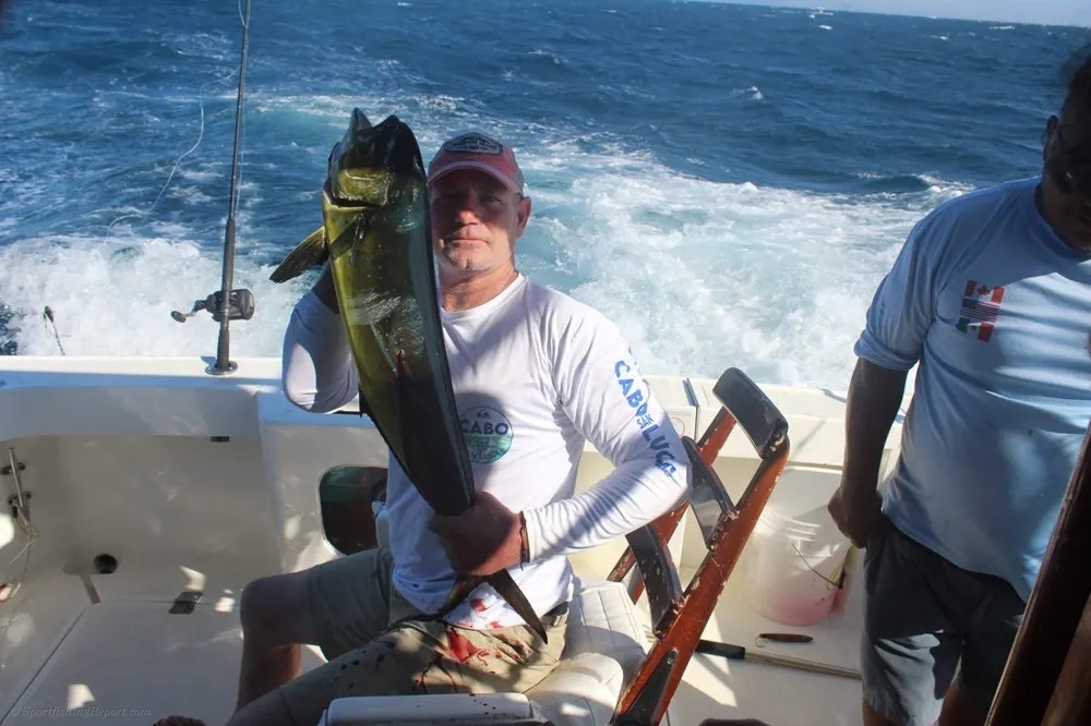 Tuna and Dorado Hookups Create a Day to Remember