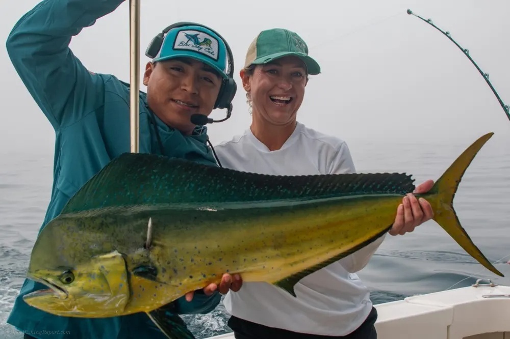 Blue Sky Cabo Delivers Dorado Excitement!