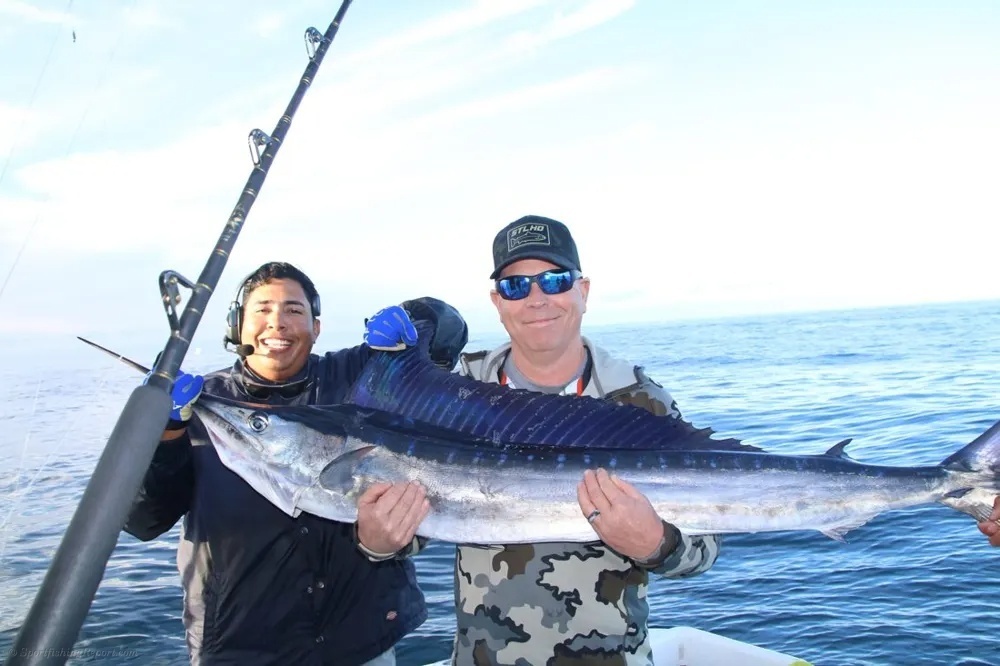 Big Blue Adventure: Marlin in Cabo