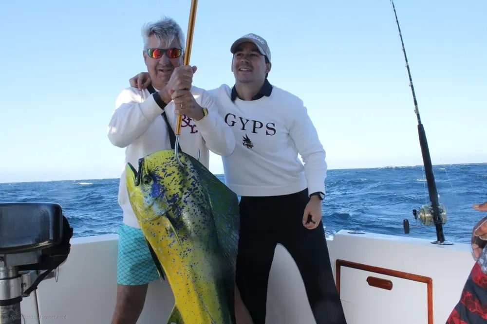 Marlin Action and Dorado Gold Fever