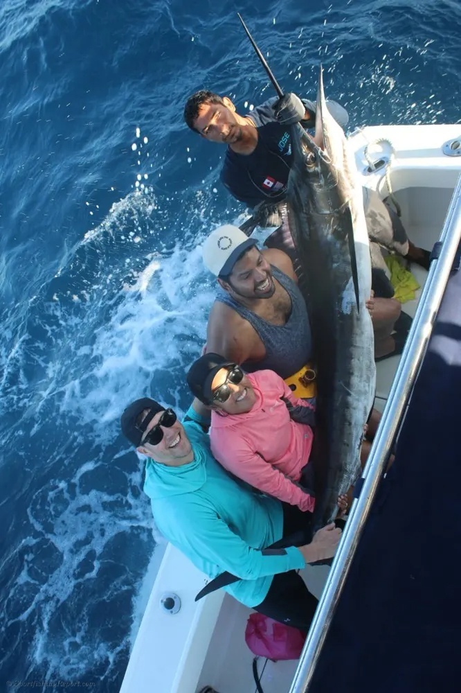 Great Catches All Around