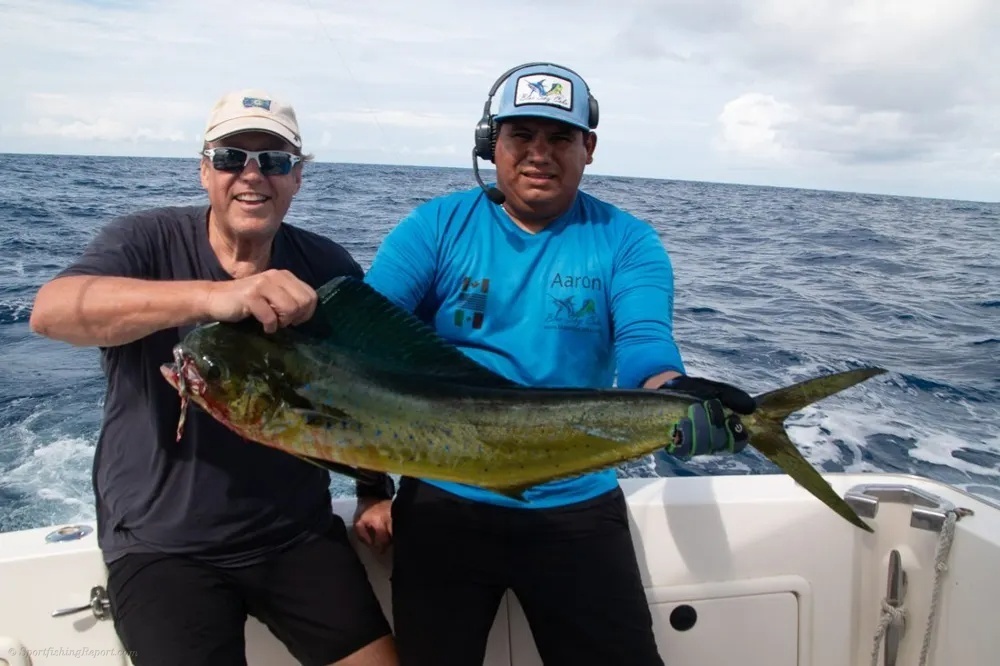 Dorado on the Line!