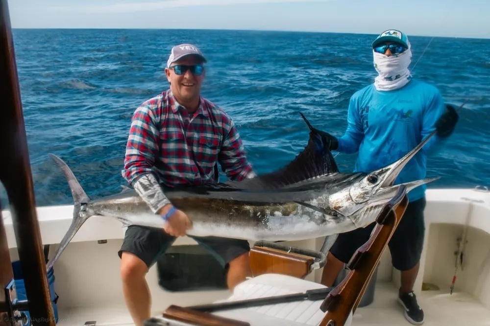 A Marlin Morning in the Sea of Cortez