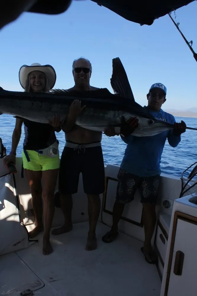 Marlin Magic in Cabo