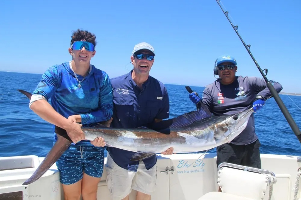 Marlin and Dorado – An Offshore Catch Celebration