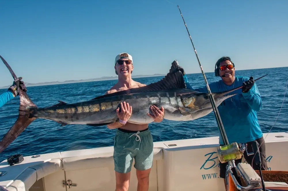 Blue Water Marlin off the Pacific Side
