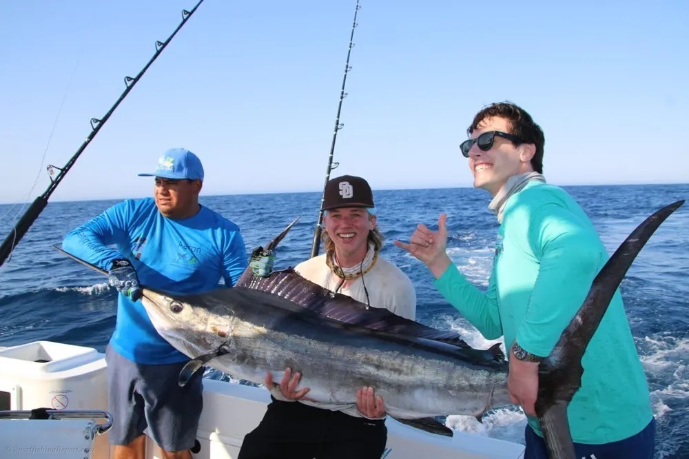 Marlin Under the Sun in the Sea of Cortez
