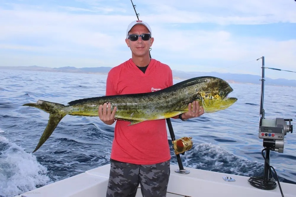 Marlin Glory and Dorado Gold Fever