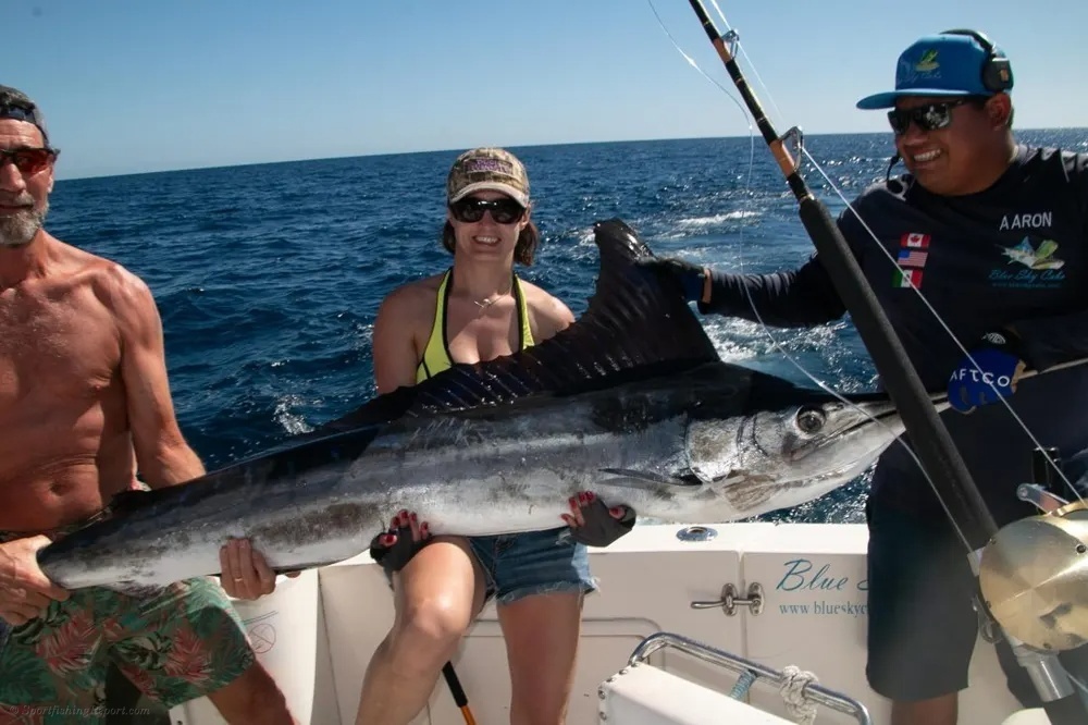 Marlin Hookup Off the Arch