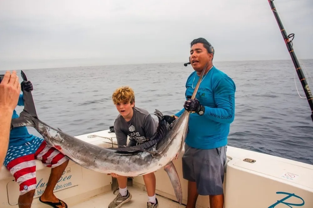 Leaping Marlin in Los Cabos