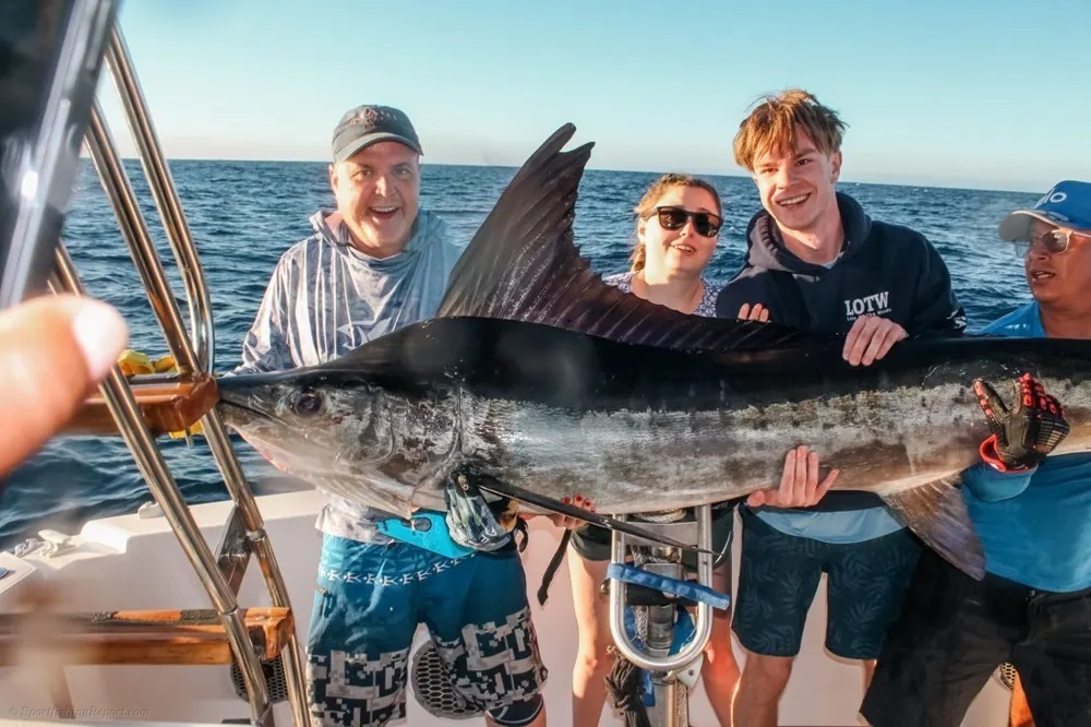 Tail-Walking Marlin in Los Cabos