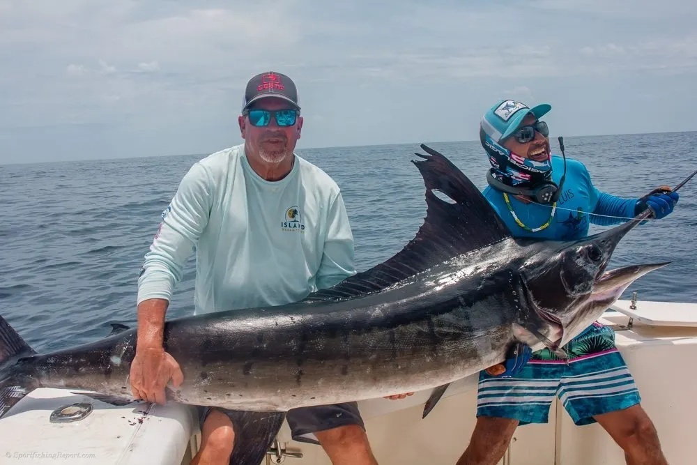 Marlin Magic in Cabo San Lucas