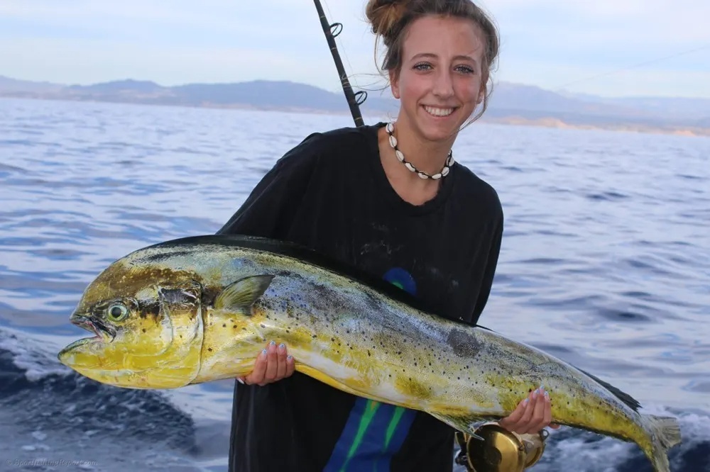 A Golden Catch Worth the Offshore Journey!