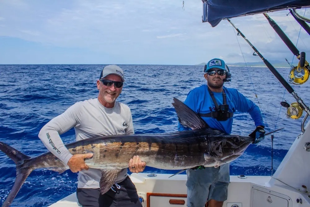Chasing Marlin in Baja