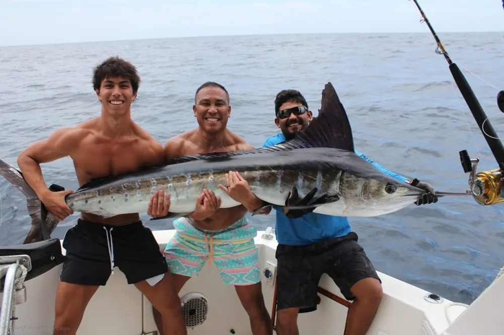 Marlin Hunt off the Cabo Coast