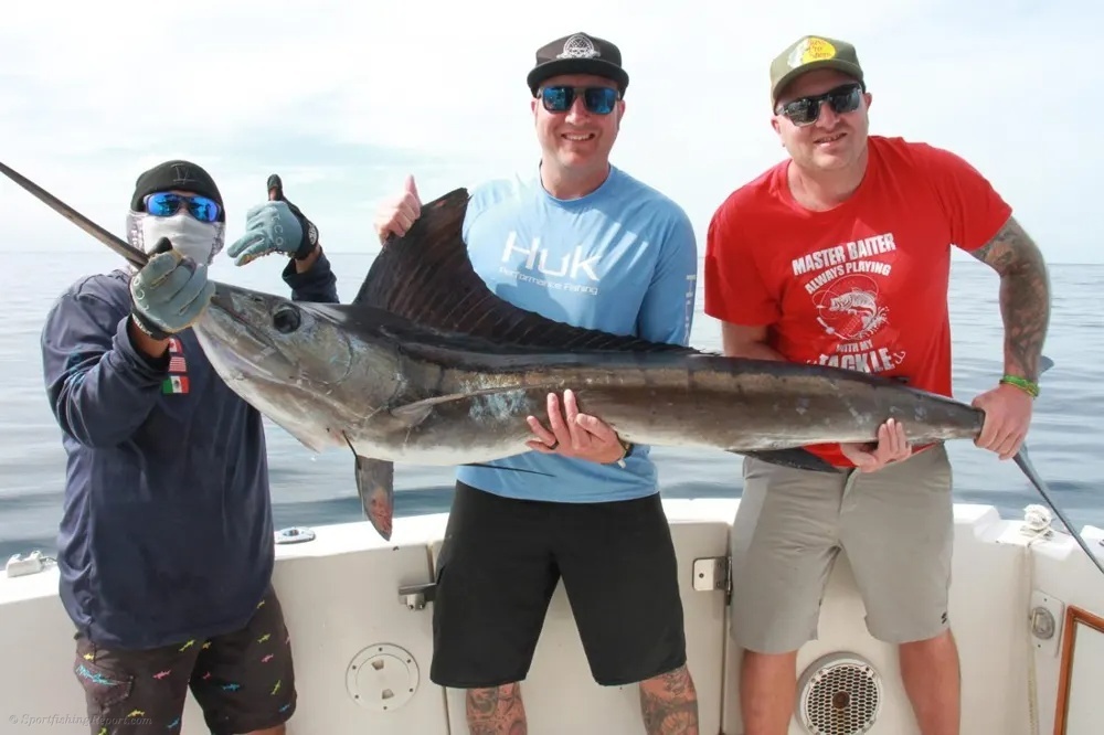 Leaping Marlin in Cabo San Lucas