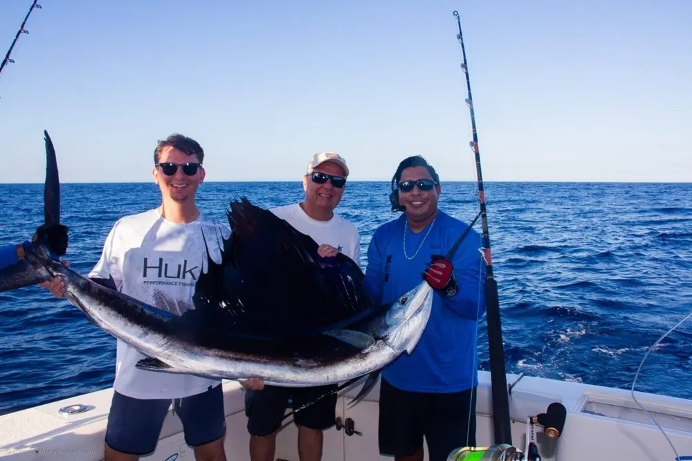 Marlin and Wahoo Make Cabo Fishing Unforgettable