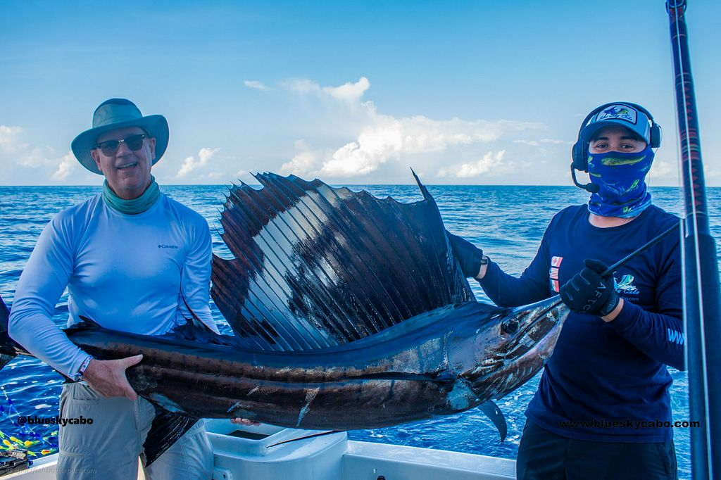 Morning Marlin Bite in Cabo