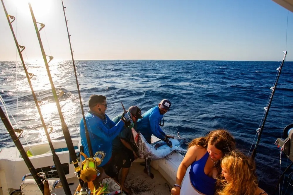 Marlin Day in Baja