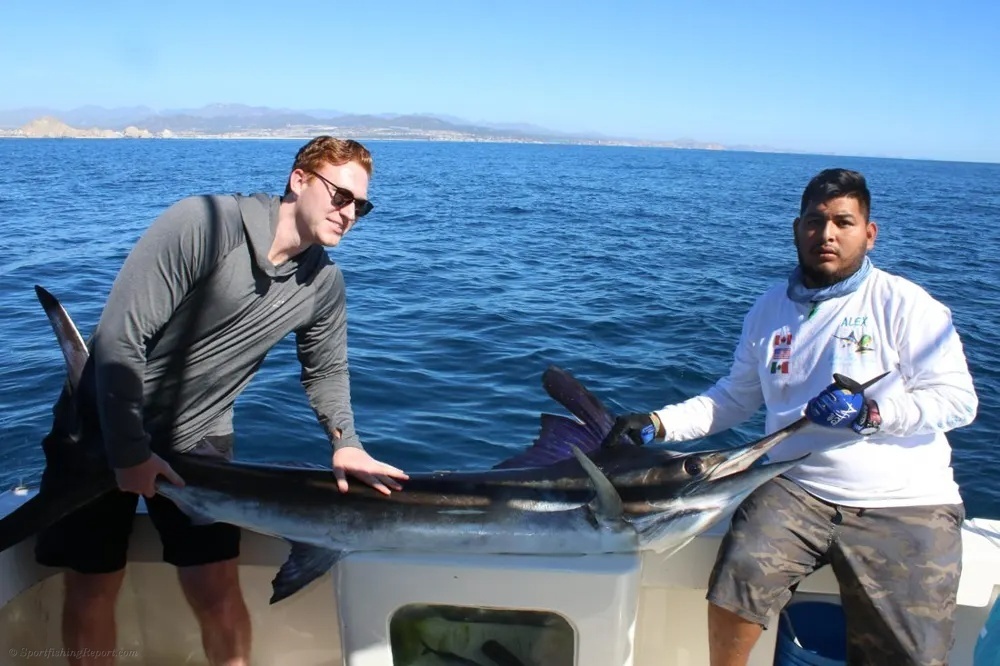 Marlin and Dorado – Pacific Excitement at Full Speed