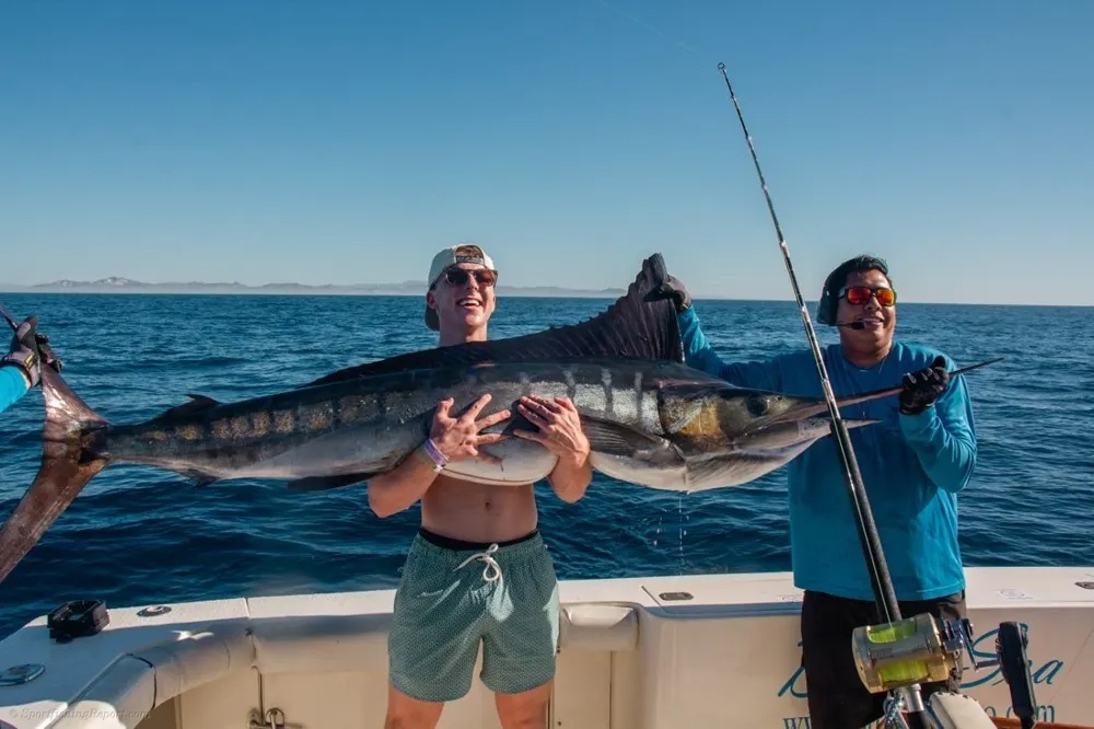 Marlin and Dorado – Two Spectacular Offshore Catches