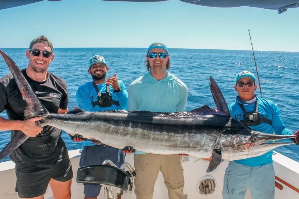 Acrobatic Marlin in Cabo San Lucas