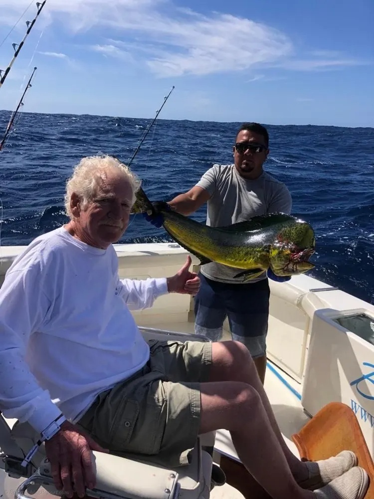 Blue Sky Cabo's Offshore Dorado Excitement!