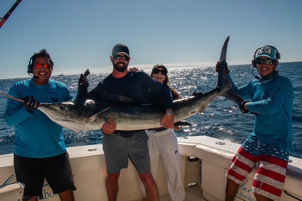 Tail-Walking Marlin off the Cabo Coast