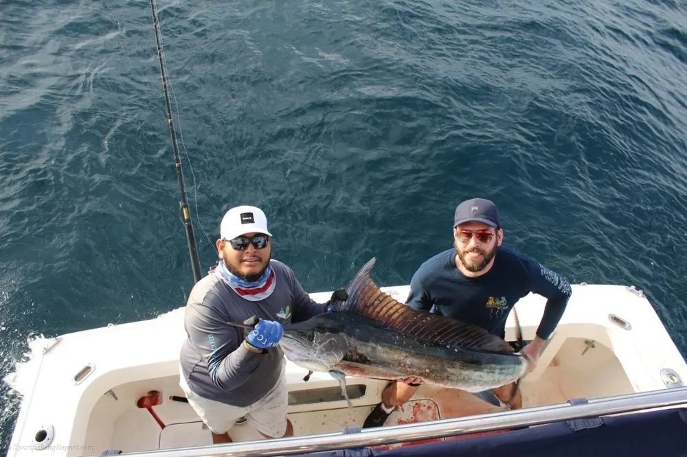 Hooked on Cabo Marlin