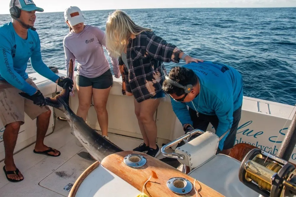 Marlin Magic Aboard Blue Sky Cabo