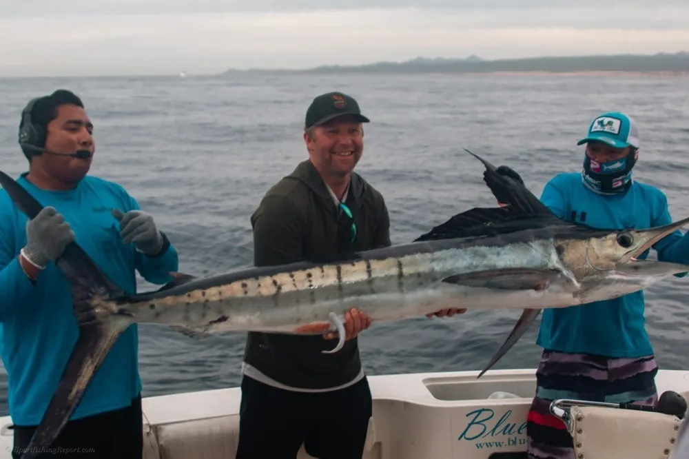 Jumping Marlin in Los Cabos