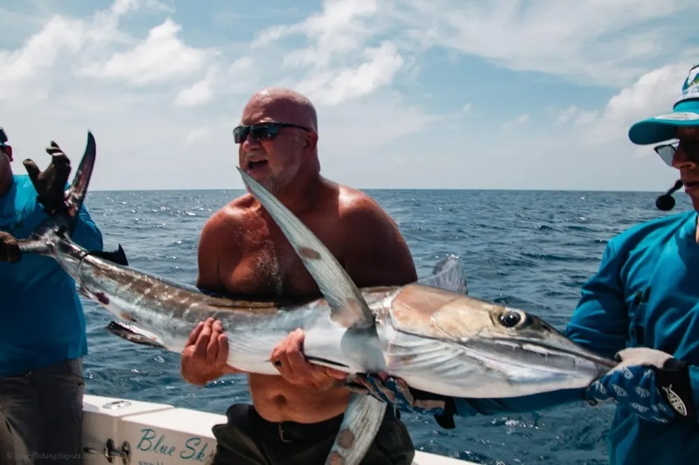 Jumping Marlin off the Cabo Coast