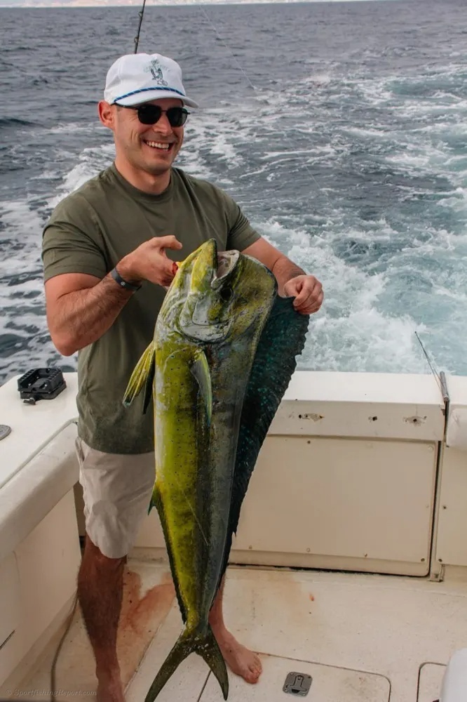 Mahi Mahi Excitement Sweeps the Pacific!