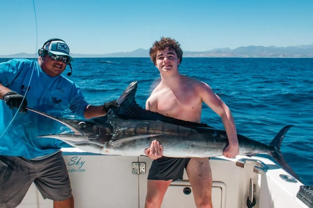 Marlin Thrills off the Cabo Coast