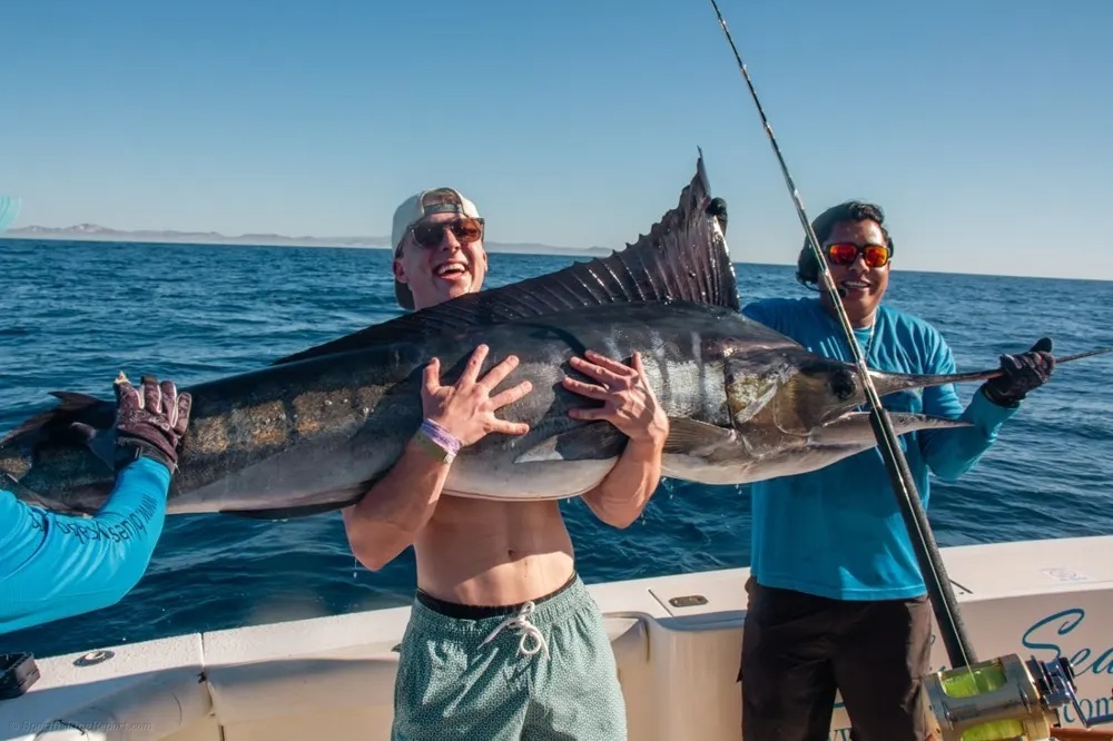 Marlin Magic off Land's End