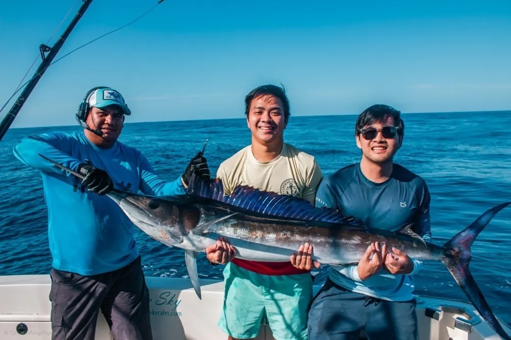Marlin Dance on the Waves