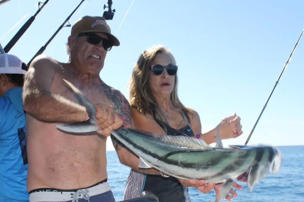 Cabo Roosterfish Action Brings the Thrills!