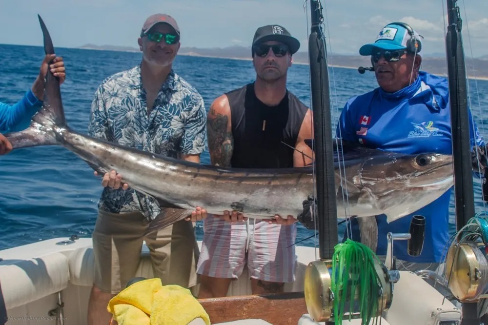 Marlin Crashes the Bait