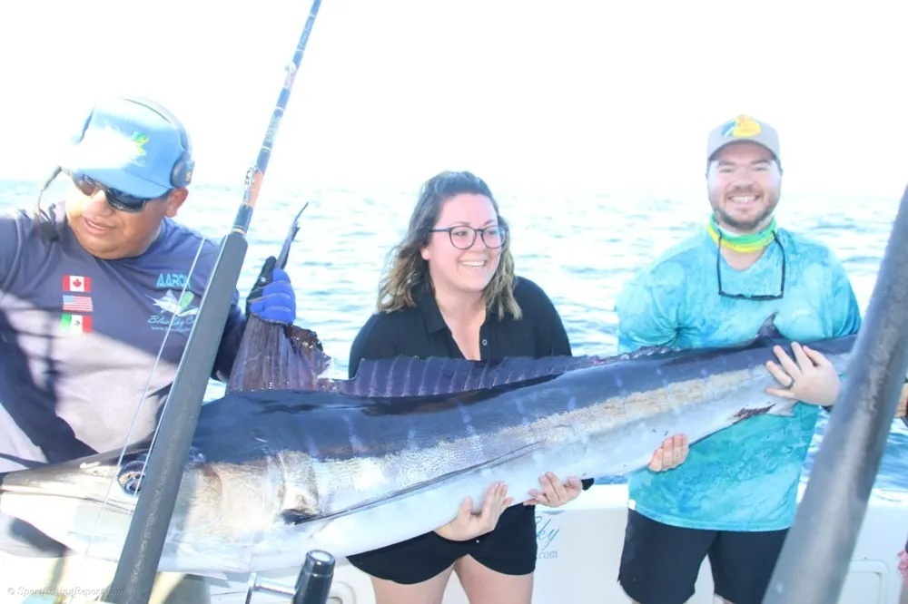 Tail-Walking Marlin off the Pacific Side