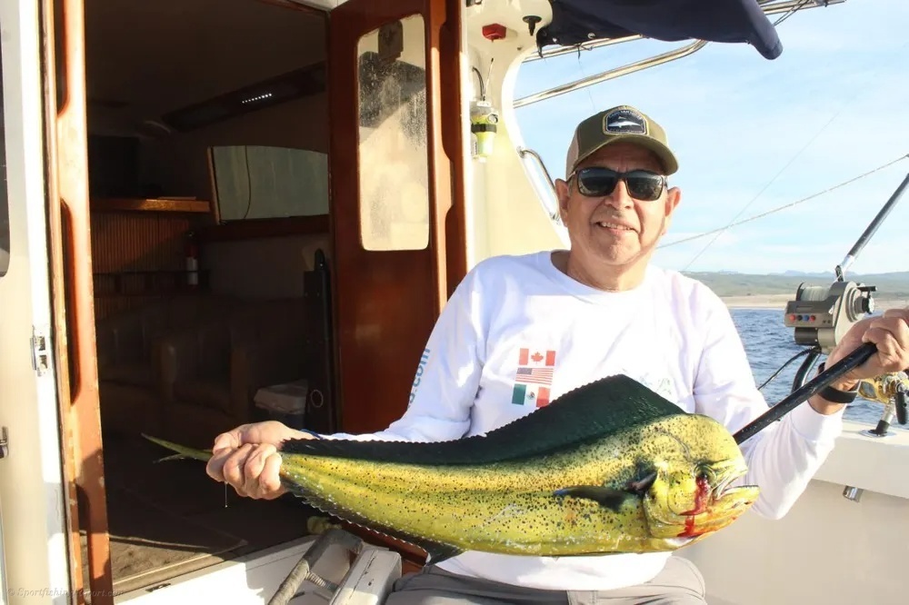 Marlin Leaps and Dorado Gold Explodes