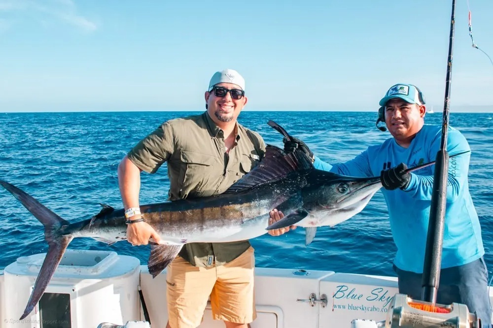 Marlin Thrills off Land's End
