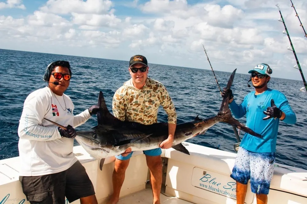 Acrobatic Marlin off Land's End