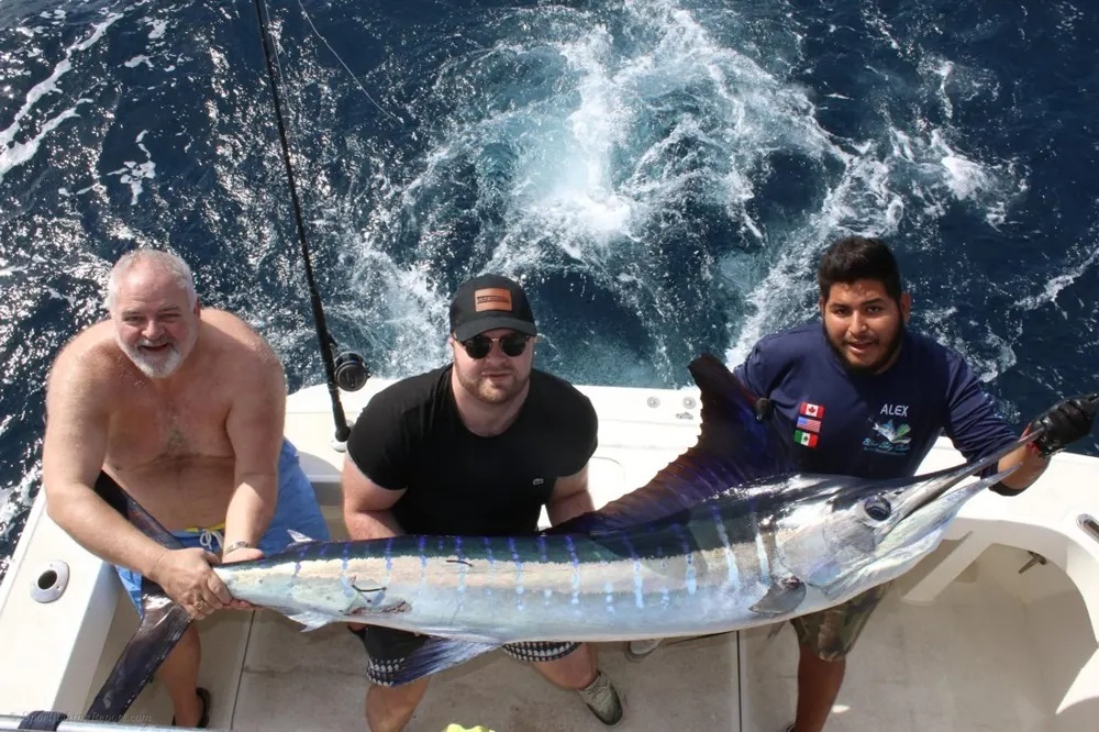 Fighting Marlin in Baja