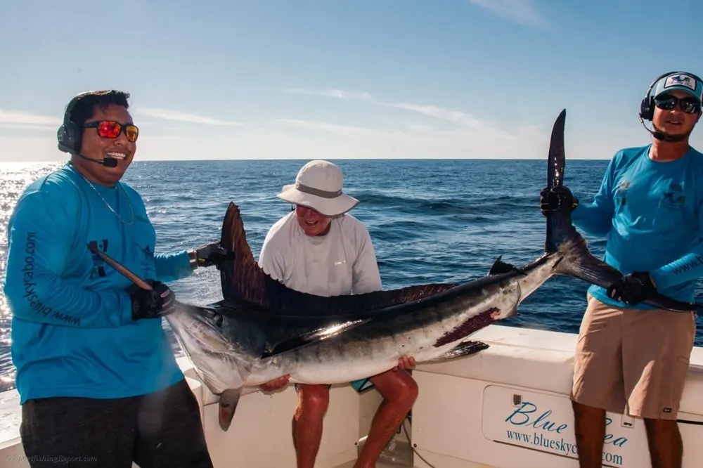 A Marlin Morning off the Pacific Side
