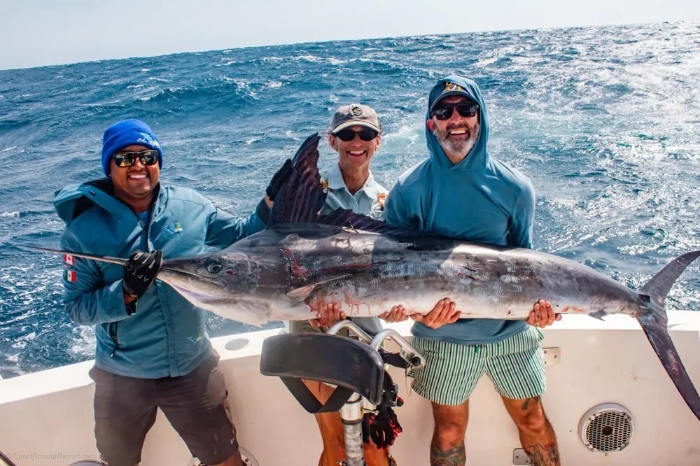 Fighting Marlin in Cabo