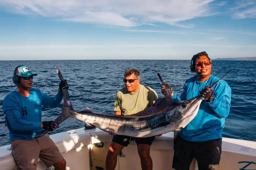 Marlin Mania in Baja