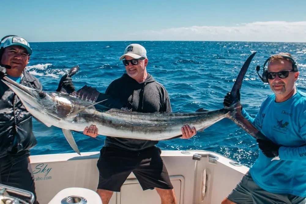 Cabo Marlin Highlight