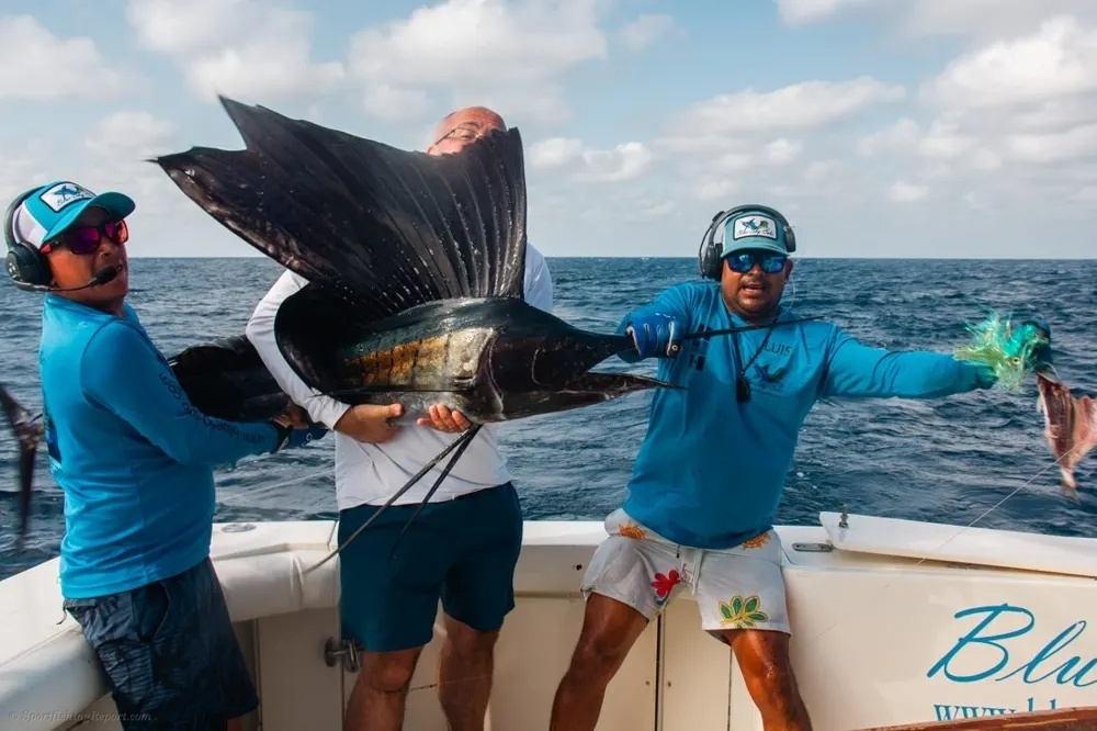 Marlin Fever off the Cabo Coast