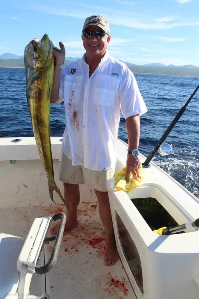 Cabo's Dorado Fight Turns Up the Action!