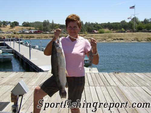 Pardee Lake Sportfishing Report